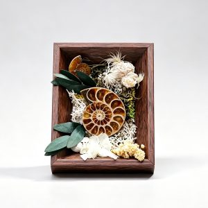 Natural Crystal Specimen Shadow Box Frame, Dried Flower Moss Art Display Frame, Healing Gemstone Mineral Collection Decor Gift